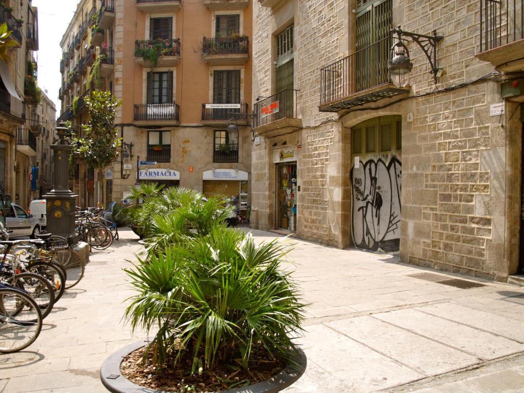 Hostal Nitzs Bcn Barcelona Ngoại thất bức ảnh